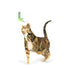 Huxley & Kent Kitty Klaw Lime Teasers 2pk Cat Wand Refill Cat Toy - Poudre Pet & Feed Supply 3